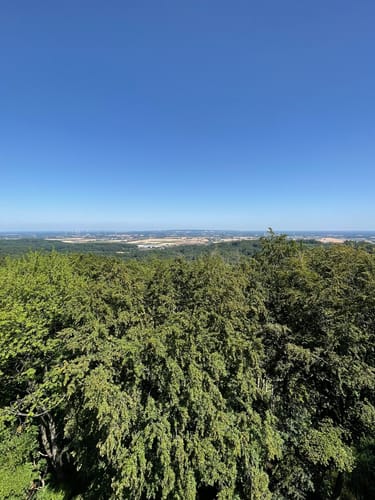 Kellenberg - Limberg - Schwarzer Brink (MTB)