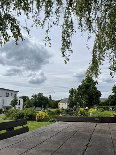 Erlebniswege Sieg: Der Holzweg