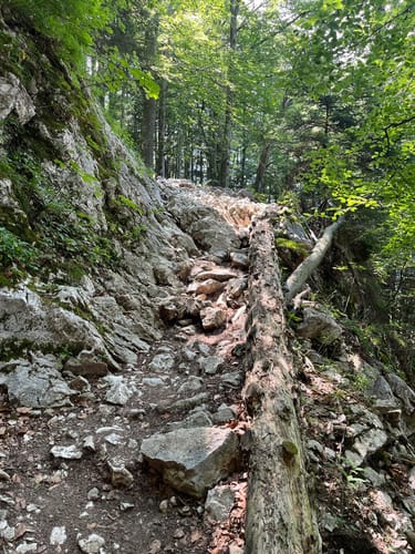 Schlechtenbergalm und Gorialm
