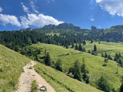 Schlechtenbergalm und Gorialm