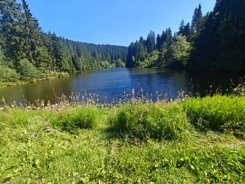 Zum Grumbacher Teich und dem Maaßener Gaipel