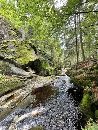 Großer Rundweg Steinklamm bei Spiegelau