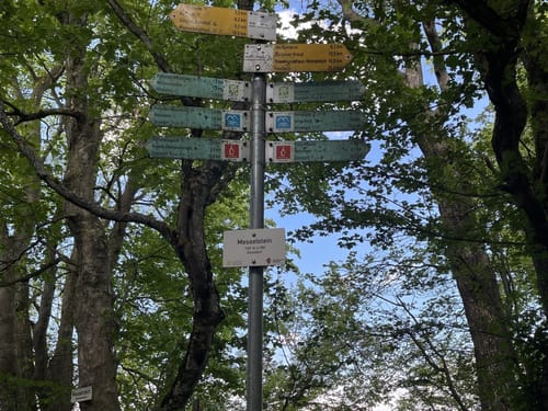 Löwenpfad Messelbergtour (traumtour)