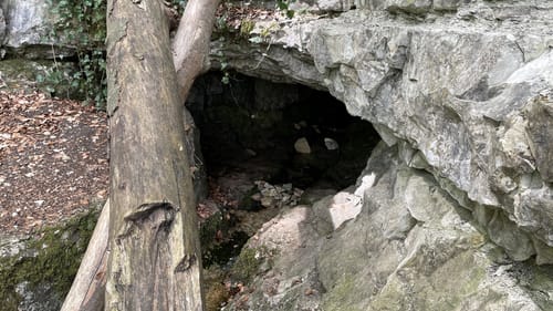 Wald- und Wasserweg