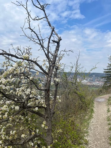 Zum Kernberg-Plateau