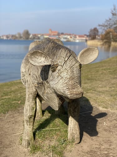 Rund um den Feisnecksee
