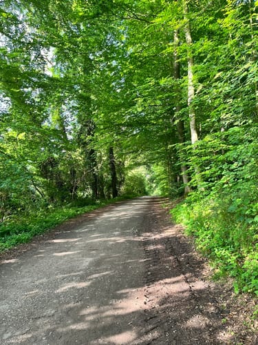 Wanderweg A3 (Ratingen)