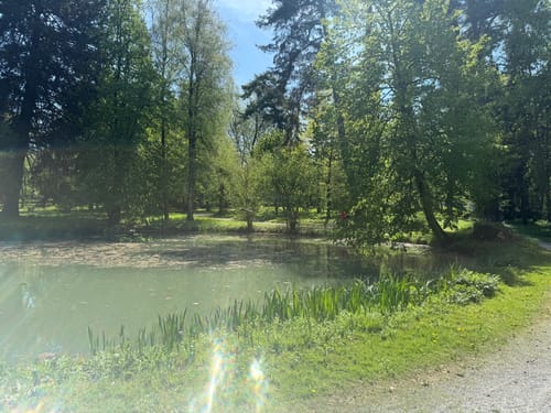 Bad Pyrmont - Schiedersee