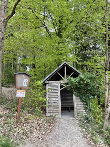 Haslach im Kinzigtal - Urenkopf - Waldsee