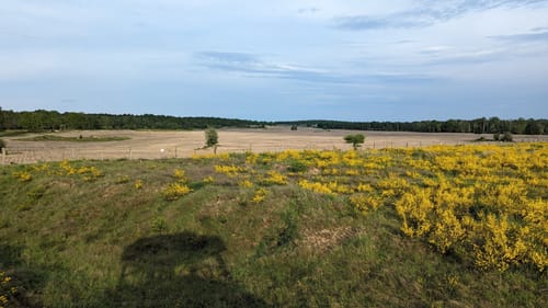 Döberitzer Heide Rundweg