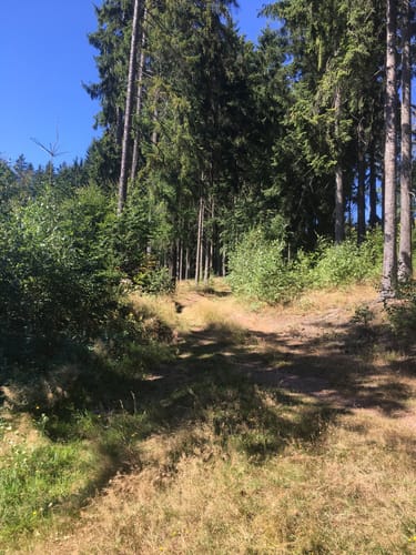 2023 Best 10 Long Trails in Chráněná krajinná oblast (CHKO) Broumovsko