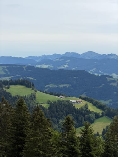 Pfänderbahn – Fluh - Gebhardsberg - Bregenz