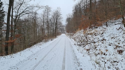 Bad Lauterberg - Stöberhai - Odertalsperre