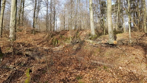 Mountainbike-Rundstrecke Heppenheim HP1