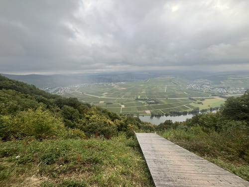 Moselsteig Etappe 9: Neumagen-Dhron - Monzel