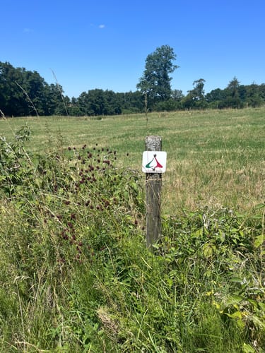 SchächerbachTour (Premiumwanderweg)