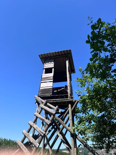 SchächerbachTour (Premiumwanderweg)