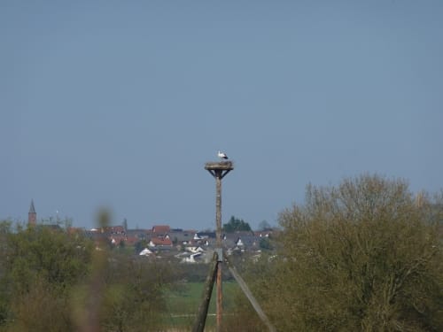 Seenring (Tour 49)