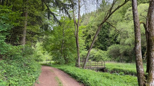 Schönecker Schweiz Rundweg