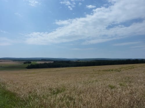 Rund um Alte Mark