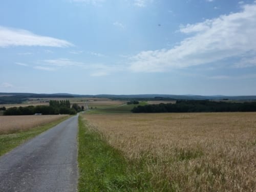 Rund um Alte Mark