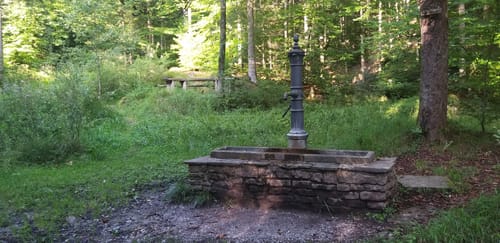 Schönbuchturm ab Schloß Hohenentringen