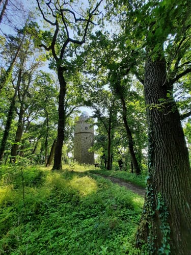 Bad Nauheim: Hütten-Wanderweg
