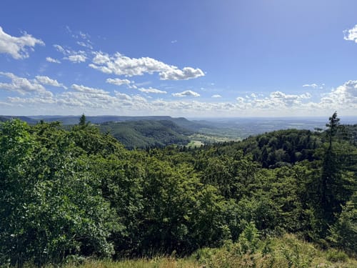 HOCHGEHBERGE I "hochgehkämpft" (Premiumspazierwanderweg)
