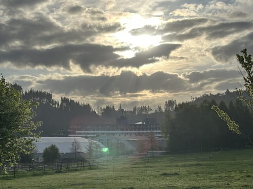 Auf den Ettelsberg ab Willingen