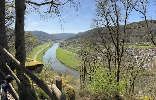 Neckarsteig Etappe 5: Eberbach - Neunkirchen