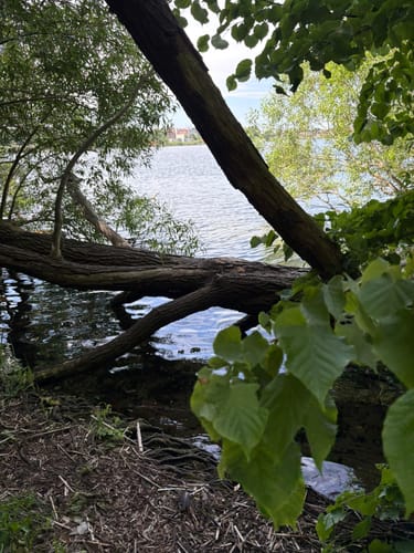 Um den Tiefwarensee