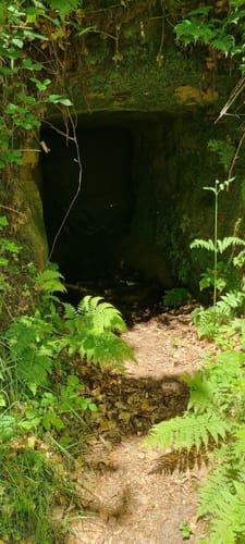 Litermont Sagenweg (Traumschleife)