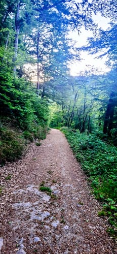 Blechen aus dem Münstertal