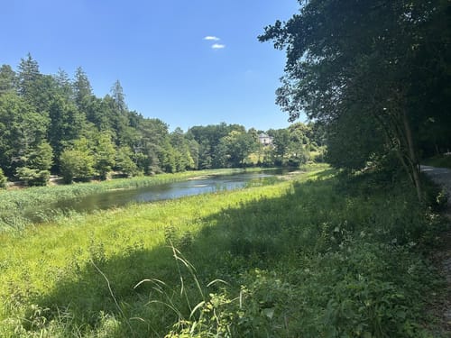 Mahdental - Bernhardsbach - Bärensee - Bärenschlössle