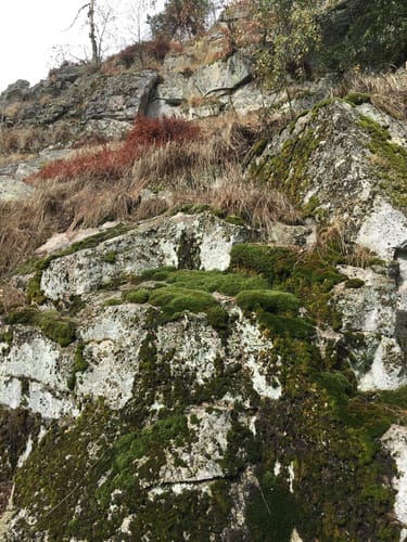 Rundweg: Reiseneggerfelsen - Saubadfelsen