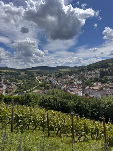 Zu den Wolfstein Burgen