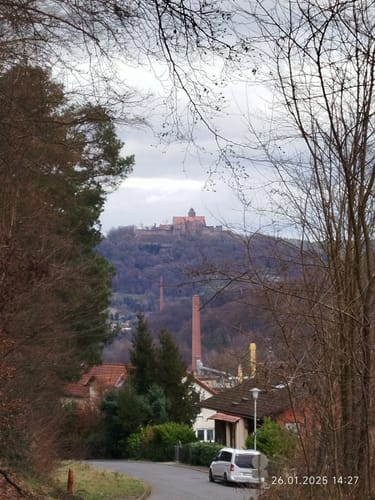 Rundwanderweg Hetschbach 1: Spitz-Berg-Weg