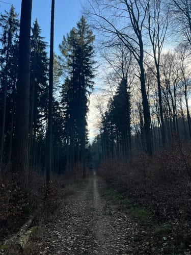 Von Falkenstein um den Franzkopf