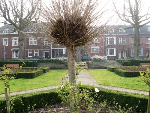 Venlo - Venloër Heide - Groote Heide