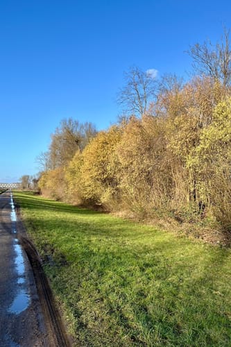 Rund um den Knielinger See
