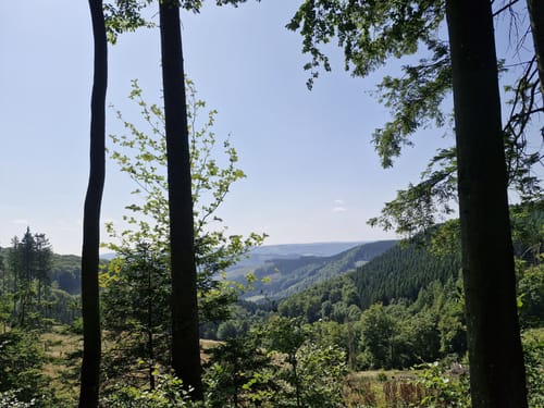 Bad Fredeburg und Zwergberg