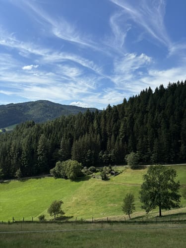 Gutacher Tälersteig (Genießerpfad)