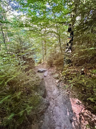 Auf der Spur des Drachen: Rundwanderweg Drachenfels