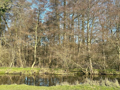 Rundweg A3 Krickenbecker Seen