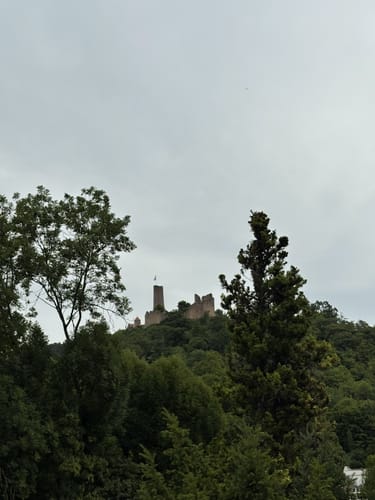 Vom Schlosspark zur Wendt Hütte
