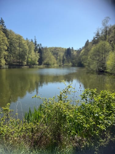 Rund um den Kurpark Bad Schwalbach