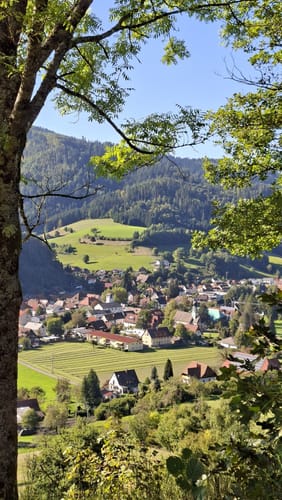Gutacher Tälersteig (Genießerpfad)