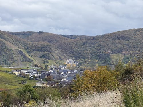 Moselsteig Etappe 17: Ediger-Eller - Beilstein