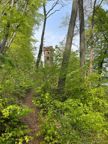 Die Grundlosen zwischen Höxter und Godelheim