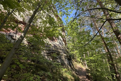 Busenberger Holzschuhpfad (Premiumwanderweg)